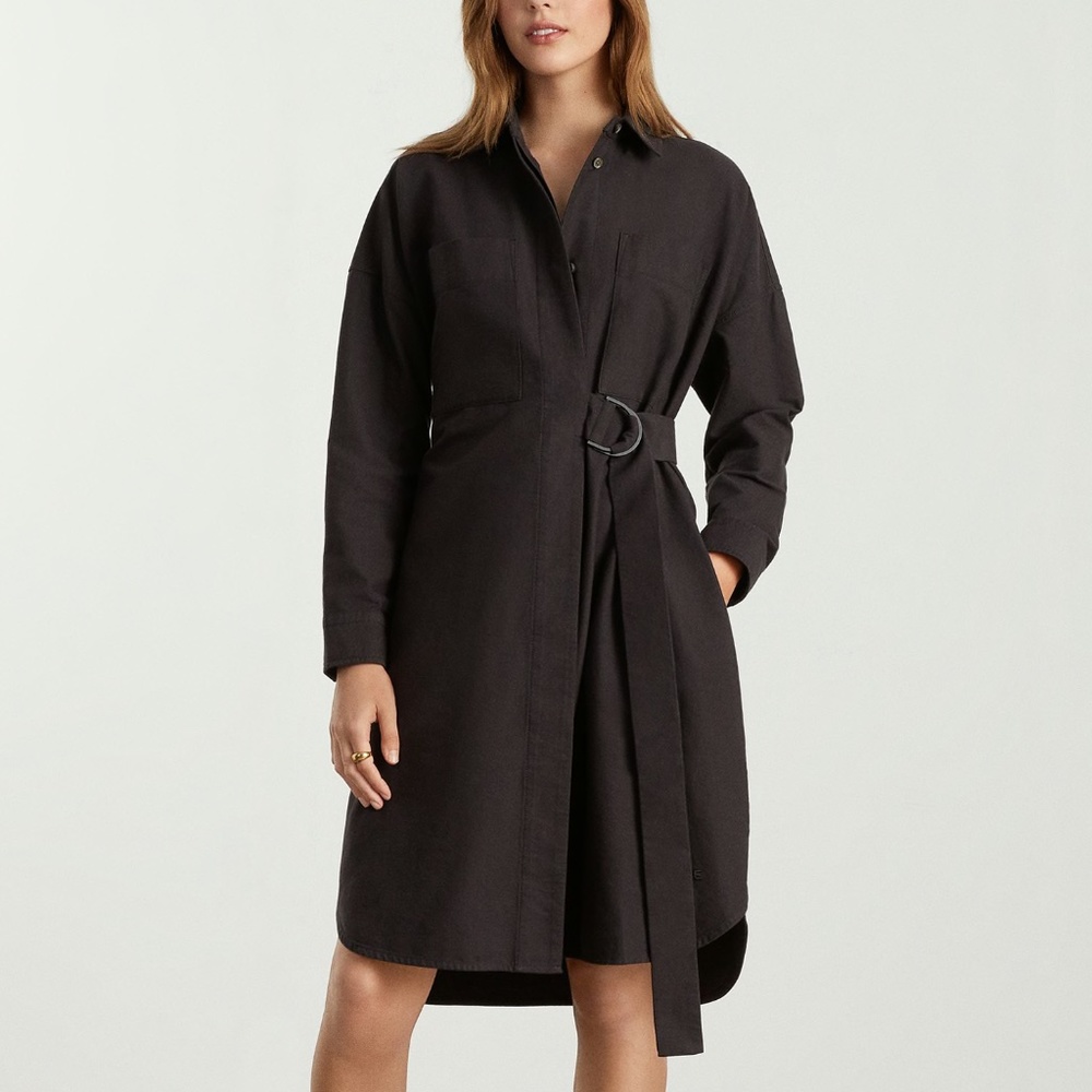 Everlane The Oxford Shirtdress